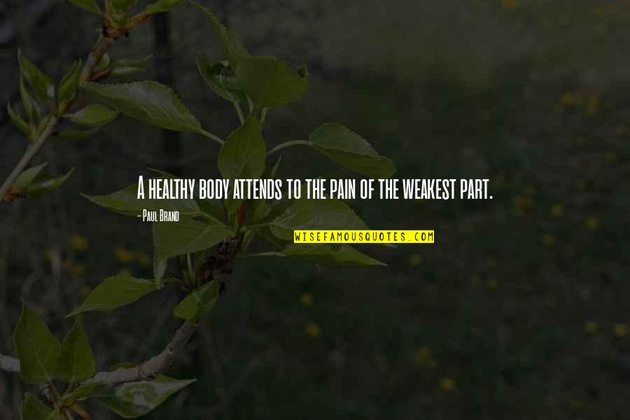 Peacenik Quotes By Paul Brand: A healthy body attends to the pain of
