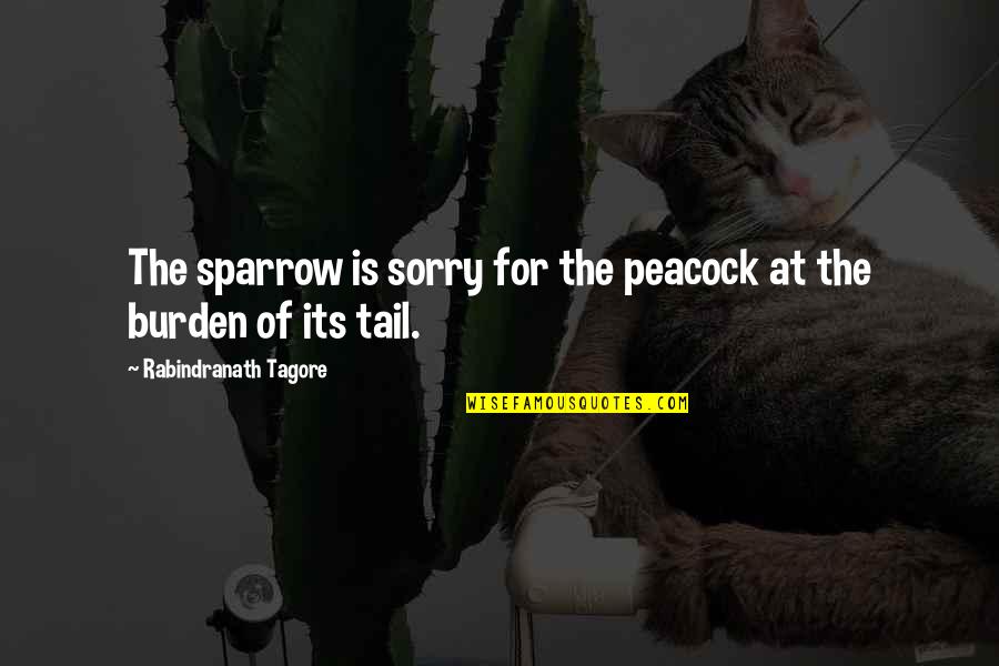 Peacock Quotes By Rabindranath Tagore: The sparrow is sorry for the peacock at