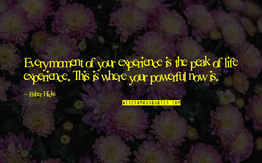 Peak Experience Quotes By Esther Hicks: Every moment of your experience is the peak Peak Experience Quotes By Esther Hicks: Every moment of your experience is the peak