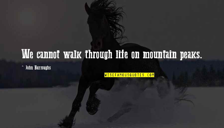 Peaks's Quotes By John Burroughs: We cannot walk through life on mountain peaks.