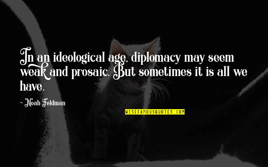 Pearl Gem Quotes By Noah Feldman: In an ideological age, diplomacy may seem weak