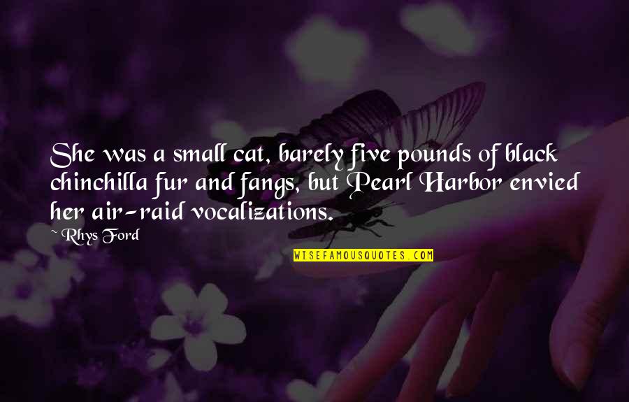 Pearl Harbor Quotes By Rhys Ford: She was a small cat, barely five pounds