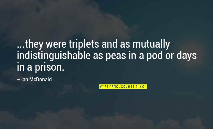 Peas In A Pod Quotes By Ian McDonald: ...they were triplets and as mutually indistinguishable as