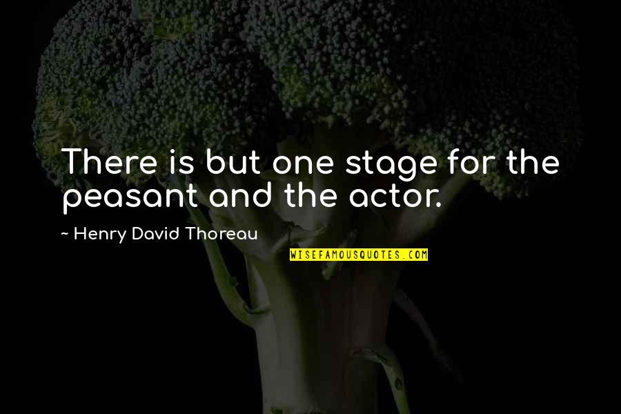 Peasant Quotes By Henry David Thoreau: There is but one stage for the peasant