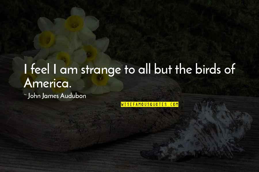 Peatland Quotes By John James Audubon: I feel I am strange to all but