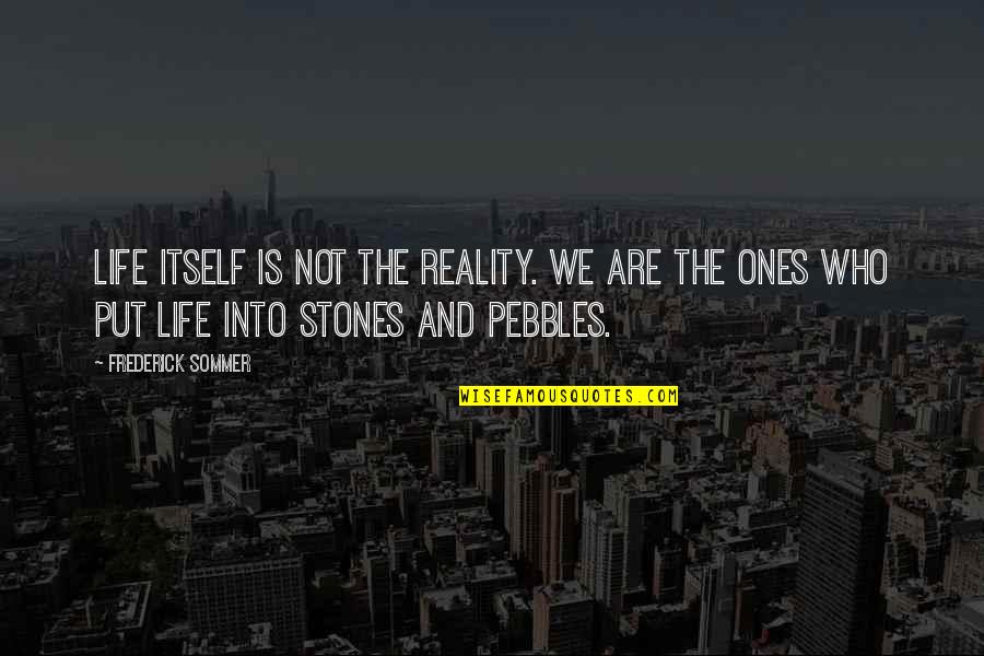 Pebbles And Stones Quotes By Frederick Sommer: Life itself is not the reality. We are