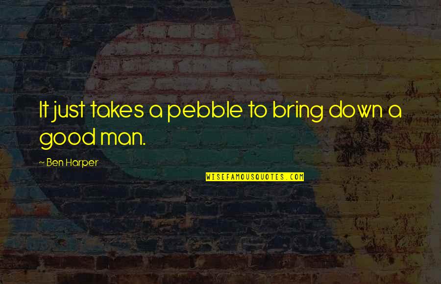 Pebbles Quotes By Ben Harper: It just takes a pebble to bring down