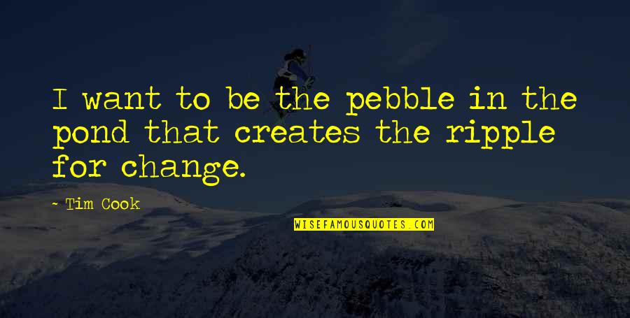 Pebbles Quotes By Tim Cook: I want to be the pebble in the