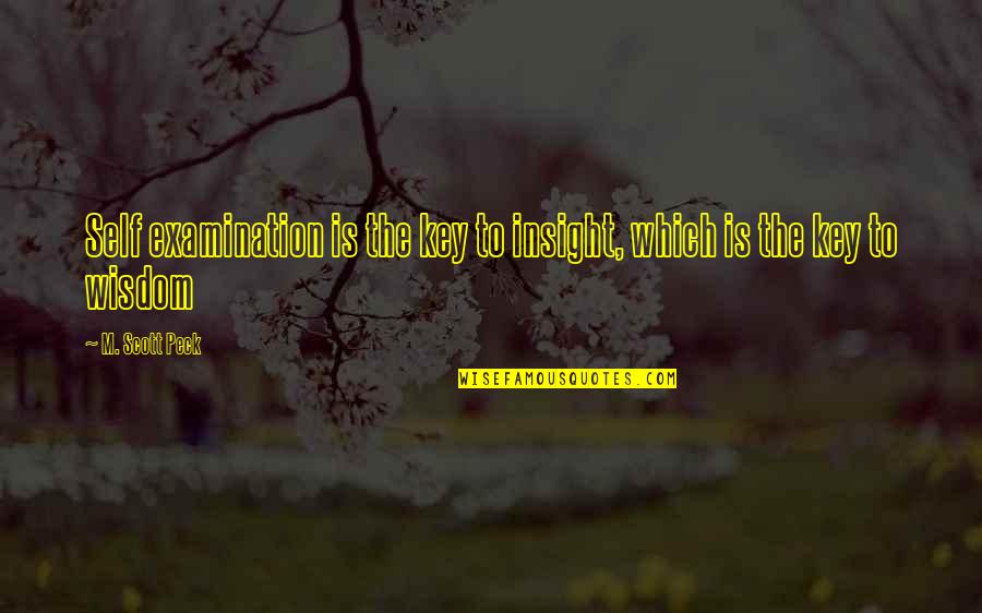 Peck's Quotes By M. Scott Peck: Self examination is the key to insight, which