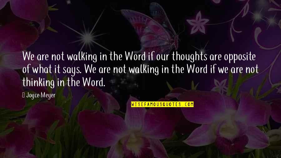 Pecore Fox Quotes By Joyce Meyer: We are not walking in the Word if Pecore Fox Quotes By Joyce Meyer: We are not walking in the Word if