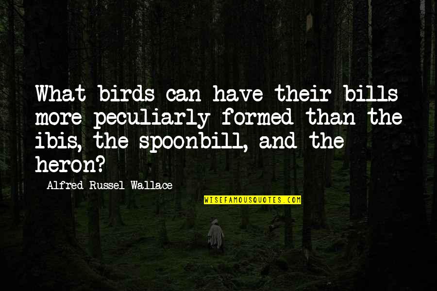Peculiarly Quotes By Alfred Russel Wallace: What birds can have their bills more peculiarly