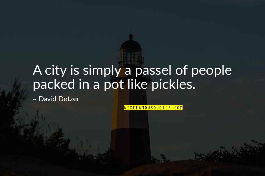 Pedder Quotes By David Detzer: A city is simply a passel of people