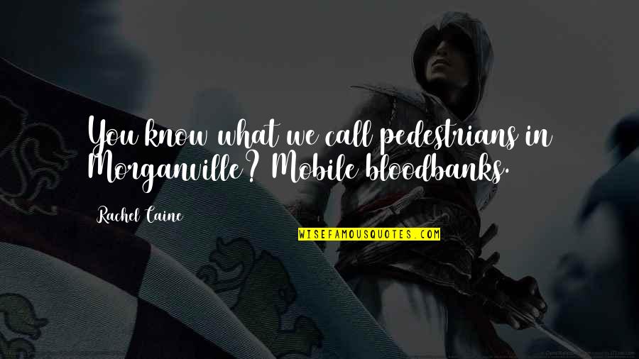 Pedestrian Quotes By Rachel Caine: You know what we call pedestrians in Morganville?