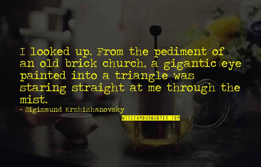 Pediment Quotes By Sigizmund Krzhizhanovsky: I looked up. From the pediment of an