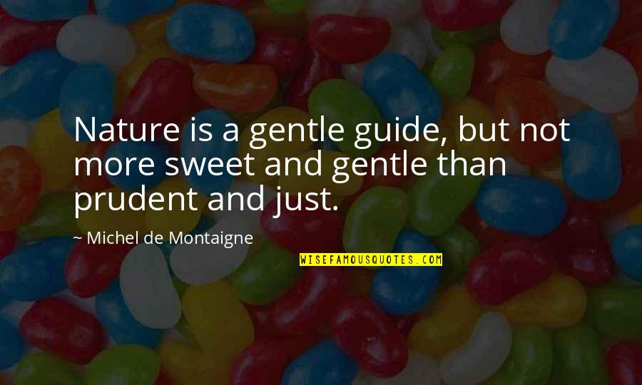 Pedis Quotes By Michel De Montaigne: Nature is a gentle guide, but not more