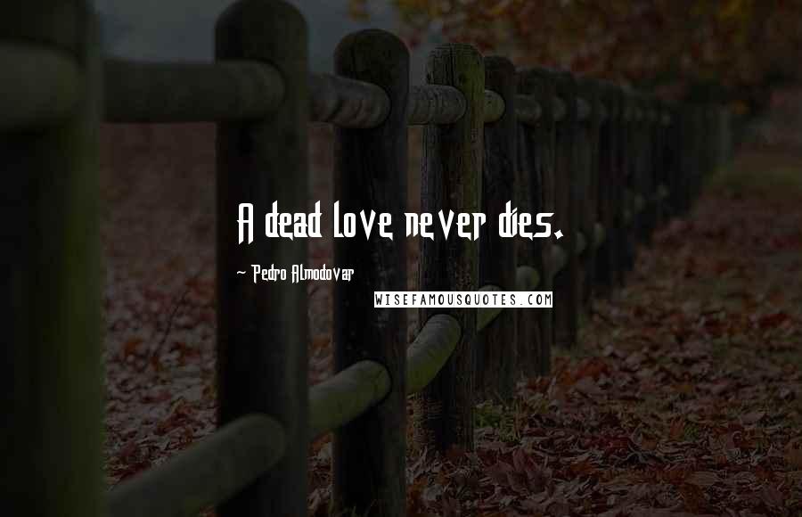 Pedro Almodovar quotes: A dead love never dies.