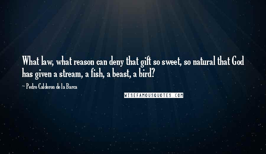 Pedro Calderon De La Barca quotes: What law, what reason can deny that gift so sweet, so natural that God has given a stream, a fish, a beast, a bird?