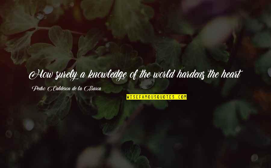 Pedro Calderon De La Barca Quotes By Pedro Calderon De La Barca: How surely a knowledge of the world hardens