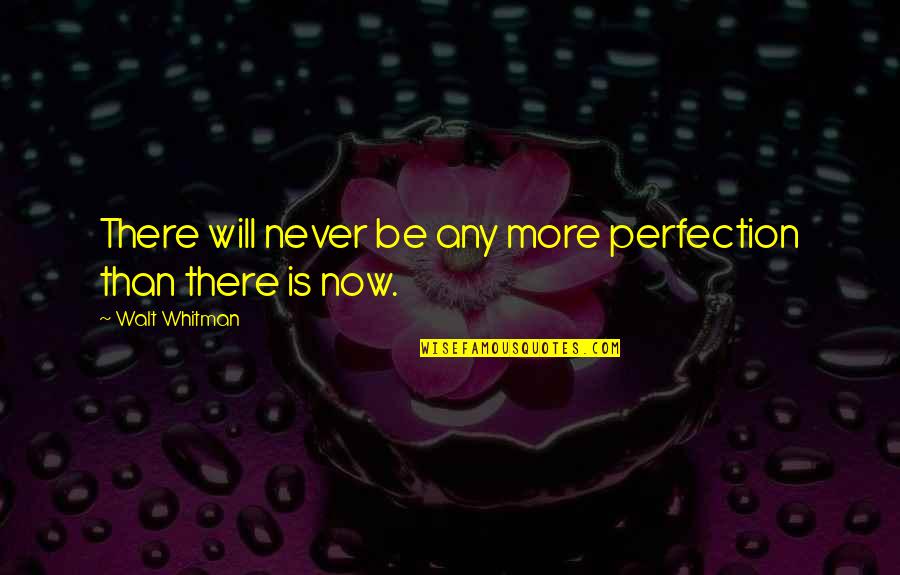 Pedro Chagas Quotes By Walt Whitman: There will never be any more perfection than