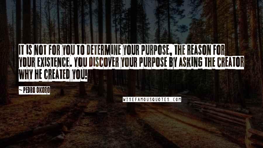 Pedro Okoro quotes: It is not for you to determine your purpose, the reason for your existence. You discover your purpose by asking the Creator why he created you! Pedro Okoro quotes: It is not for you to determine your purpose, the reason for your existence. You discover your purpose by asking the Creator why he created you!