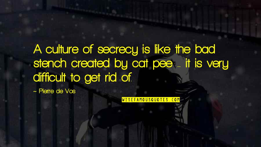 Pee Pee Quotes By Pierre De Vos: A culture of secrecy is like the bad