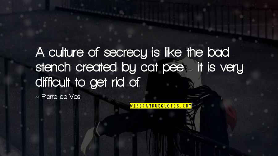 Pee Quotes By Pierre De Vos: A culture of secrecy is like the bad Pee Quotes By Pierre De Vos: A culture of secrecy is like the bad