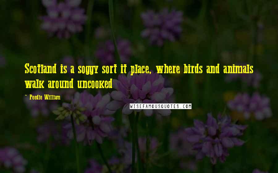 Peedie William quotes: Scotland is a soggy sort it place, where birds and animals walk around uncooked Peedie William quotes: Scotland is a soggy sort it place, where birds and animals walk around uncooked