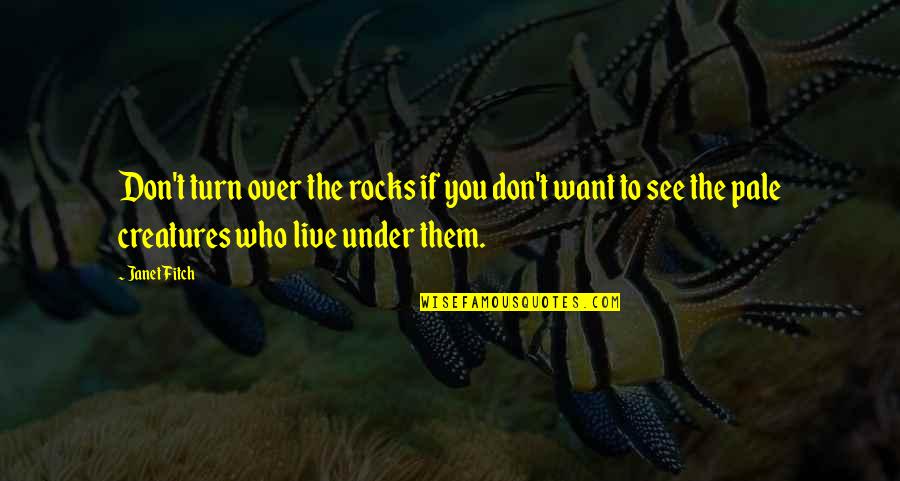 Peel And Stick Quotes By Janet Fitch: Don't turn over the rocks if you don't Peel And Stick Quotes By Janet Fitch: Don't turn over the rocks if you don't