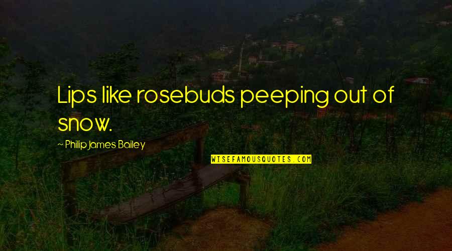 Peeping Quotes By Philip James Bailey: Lips like rosebuds peeping out of snow.