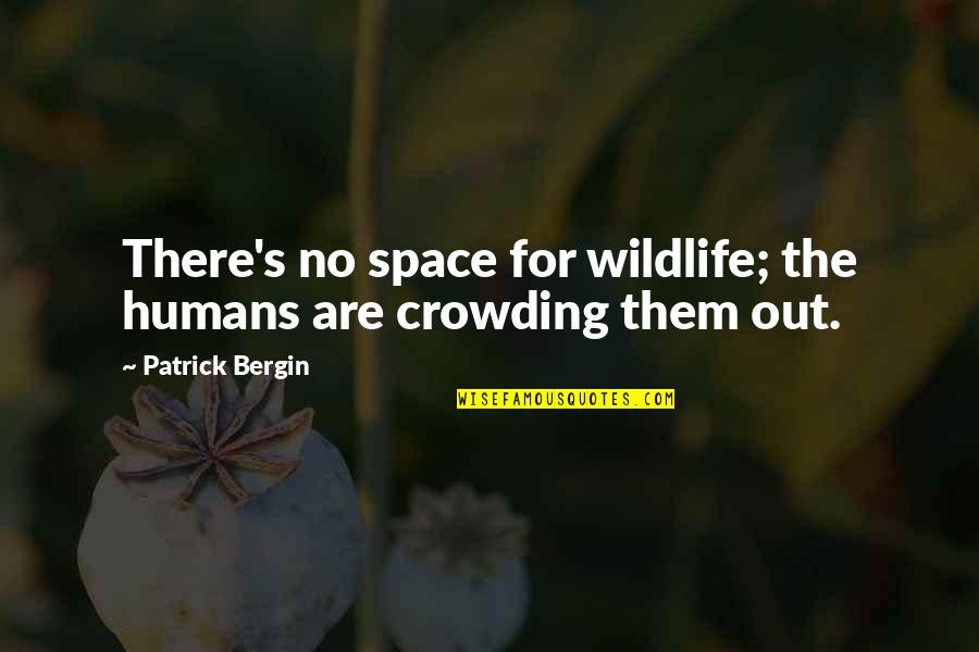 Peer Support Mental Health Quotes By Patrick Bergin: There's no space for wildlife; the humans are Peer Support Mental Health Quotes By Patrick Bergin: There's no space for wildlife; the humans are