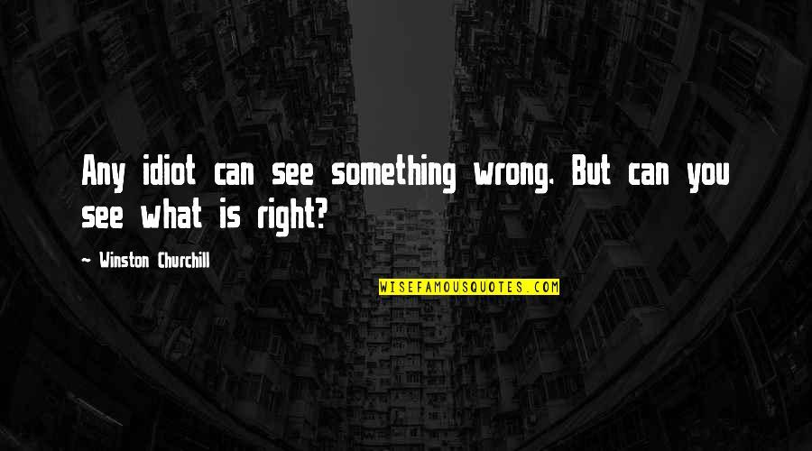 Peerapong Quotes By Winston Churchill: Any idiot can see something wrong. But can