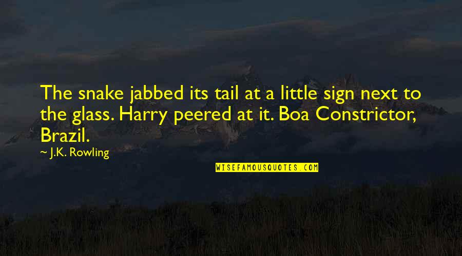 Peered Out Quotes By J.K. Rowling: The snake jabbed its tail at a little