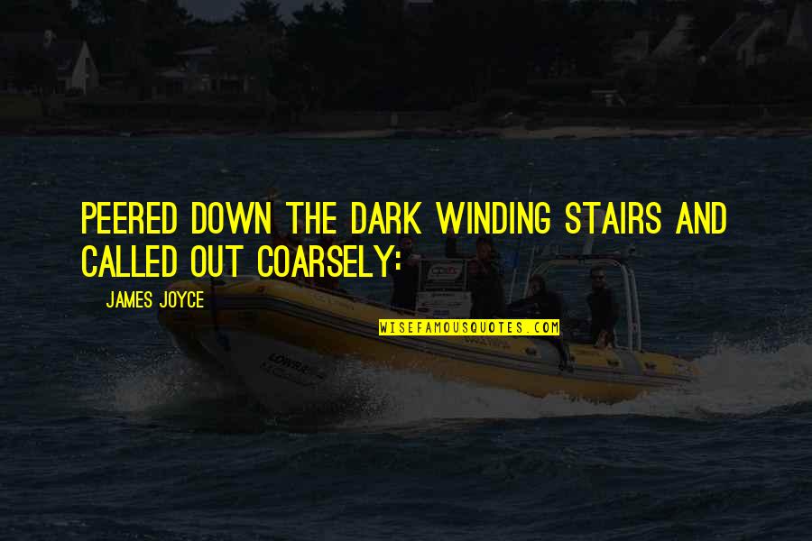 Peered Out Quotes By James Joyce: Peered down the dark winding stairs and called