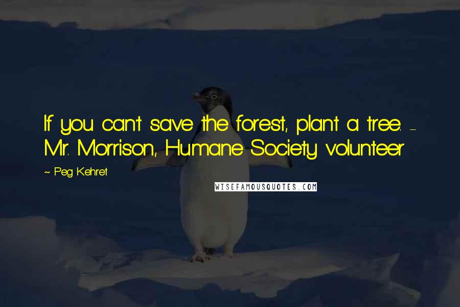 Peg Kehret quotes: If you can't save the forest, plant a tree. - Mr. Morrison, Humane Society volunteer