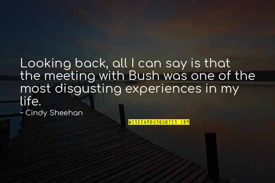 Pegahmagabow Quotes By Cindy Sheehan: Looking back, all I can say is that Pegahmagabow Quotes By Cindy Sheehan: Looking back, all I can say is that