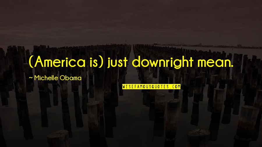 Pegasus Abridged Quotes By Michelle Obama: (America is) just downright mean.