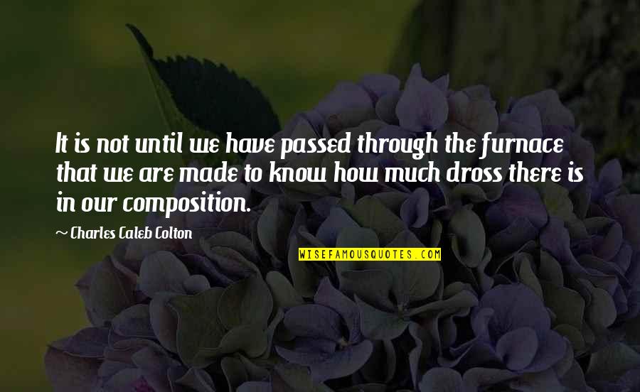 Peguero Oncologist Quotes By Charles Caleb Colton: It is not until we have passed through