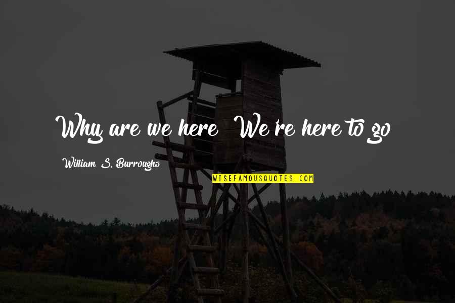 Peinlich Sperma Quotes By William S. Burroughs: Why are we here? We're here to go! Peinlich Sperma Quotes By William S. Burroughs: Why are we here? We're here to go!