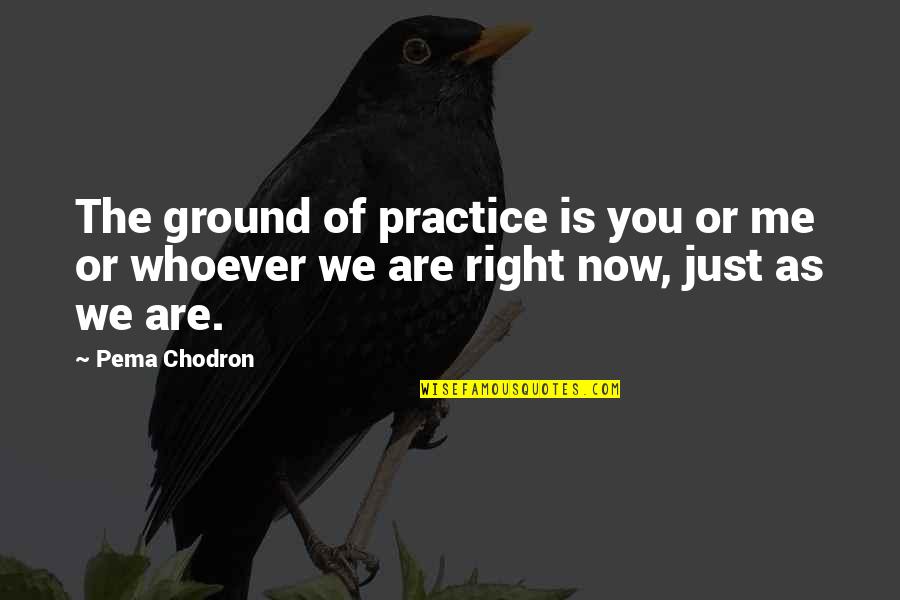 Pejoratively Speaking Quotes By Pema Chodron: The ground of practice is you or me