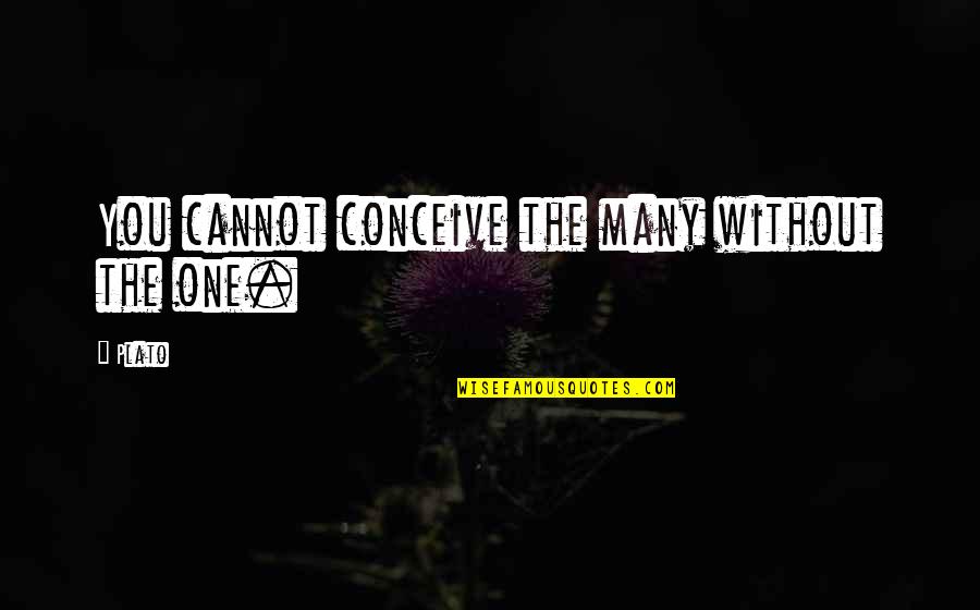 Pelageya Porfirovna Quotes By Plato: You cannot conceive the many without the one.
