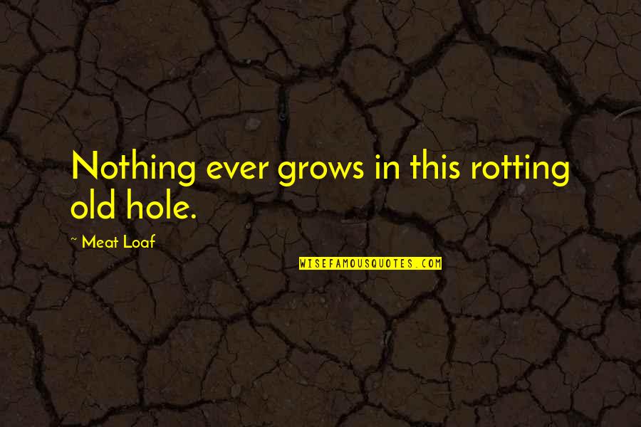 Pelearse Gerund Quotes By Meat Loaf: Nothing ever grows in this rotting old hole.
