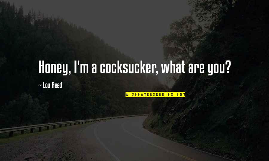 Peligroso Quotes By Lou Reed: Honey, I'm a cocksucker, what are you? Peligroso Quotes By Lou Reed: Honey, I'm a cocksucker, what are you?