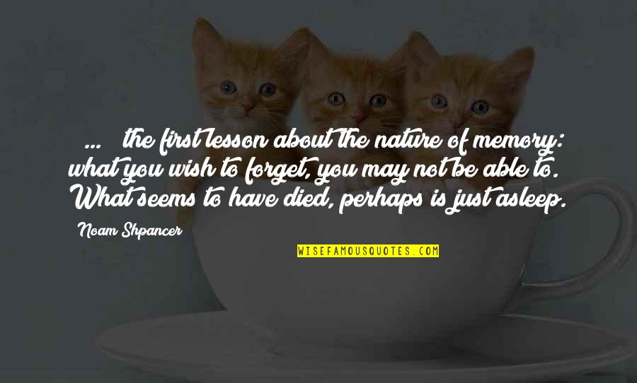 Pelle Almqvist Quotes By Noam Shpancer: [ ... ] the first lesson about the