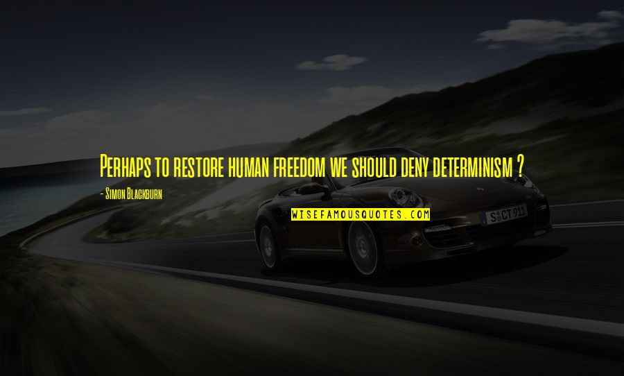 Pelles Heating Quotes By Simon Blackburn: Perhaps to restore human freedom we should deny Pelles Heating Quotes By Simon Blackburn: Perhaps to restore human freedom we should deny