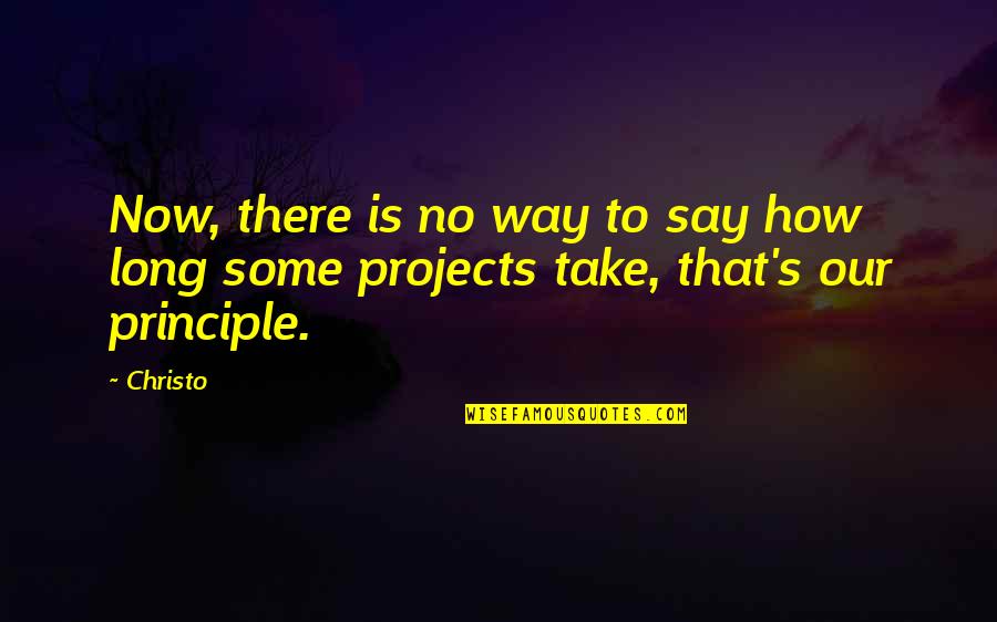 Pellets Ammo Quotes By Christo: Now, there is no way to say how