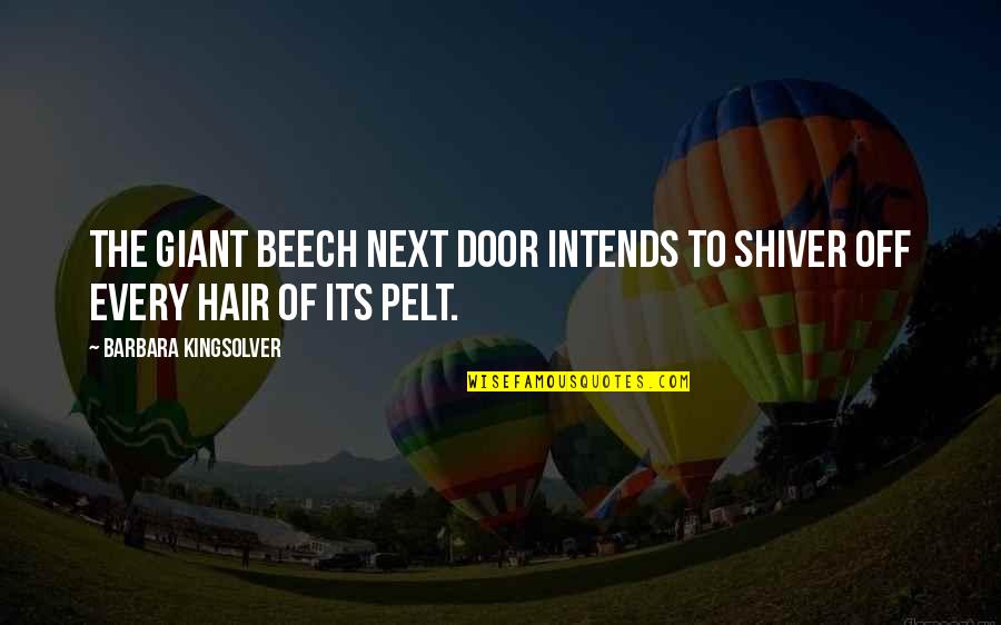 Pelt Quotes By Barbara Kingsolver: The giant beech next door intends to shiver Pelt Quotes By Barbara Kingsolver: The giant beech next door intends to shiver