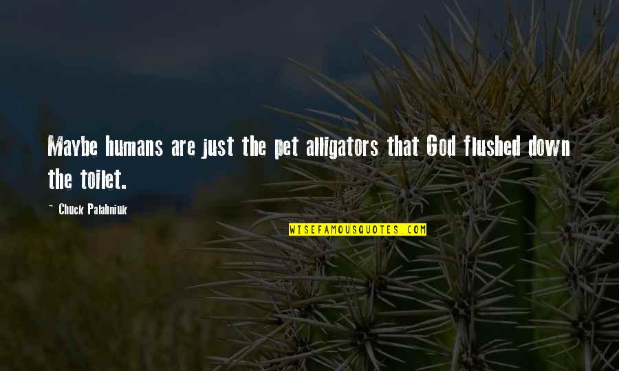 Pelted Woodpecker Quotes By Chuck Palahniuk: Maybe humans are just the pet alligators that