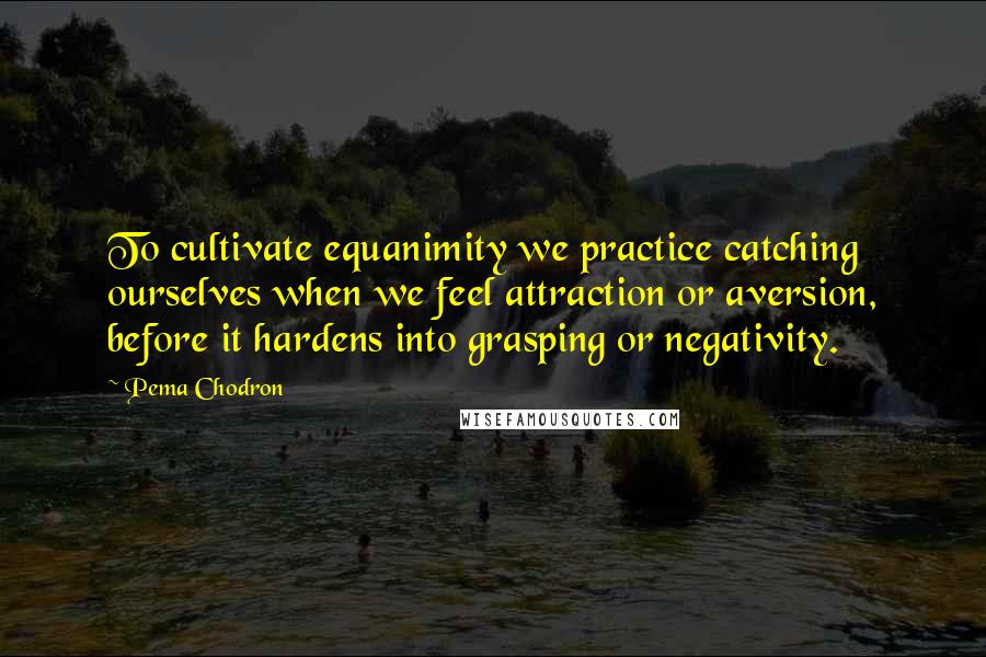 Pema Chodron quotes: To cultivate equanimity we practice catching ourselves when we feel attraction or aversion, before it hardens into grasping or negativity.