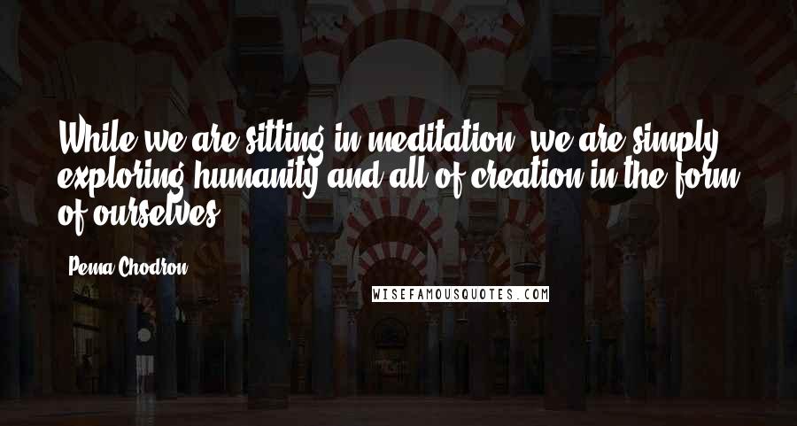 Pema Chodron quotes: While we are sitting in meditation, we are simply exploring humanity and all of creation in the form of ourselves.