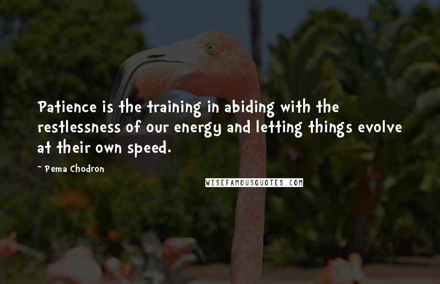 Pema Chodron quotes: Patience is the training in abiding with the restlessness of our energy and letting things evolve at their own speed.